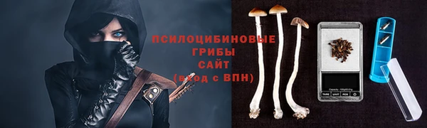 герыч Гусь-Хрустальный