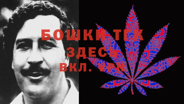 мескалин Гусиноозёрск