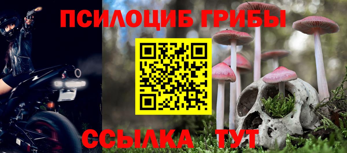 Галлюциногенные грибы Psilocybine cubensis Североуральск