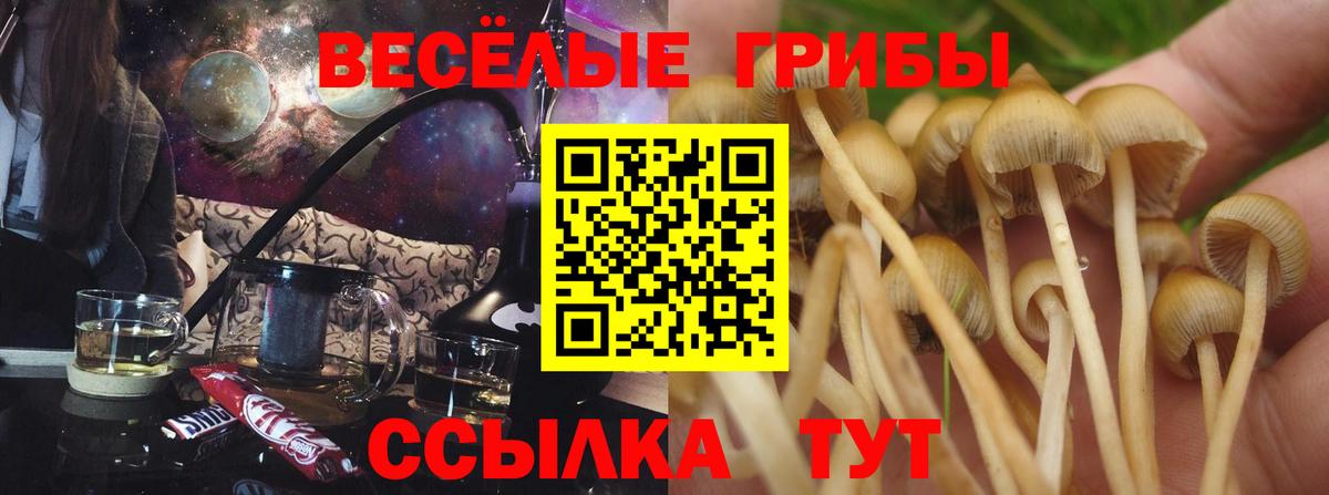 Североуральск  Галлюциногенные грибы мицелий  Псилоцибиновые грибы Psilocybine cubensis  Вход с VPN 